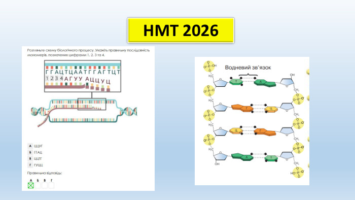 НМТ 2026