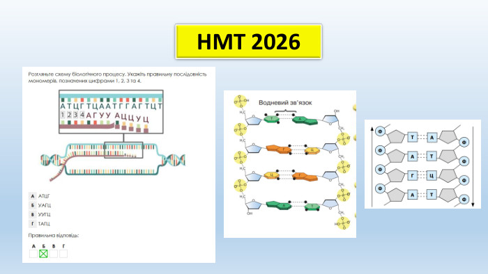 НМТ 2026
