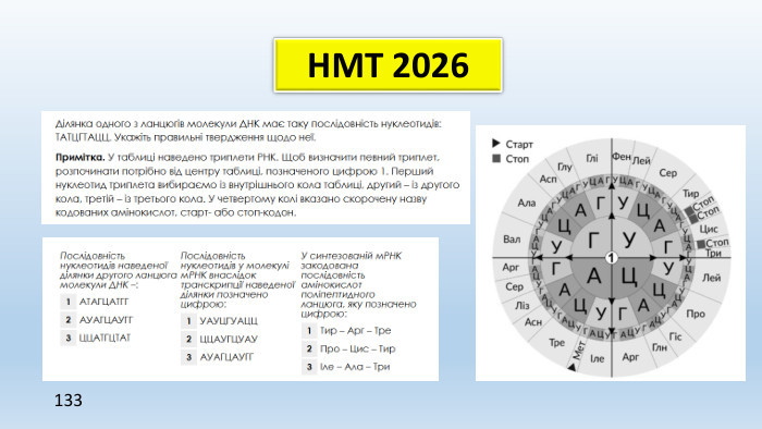 НМТ 2026133
