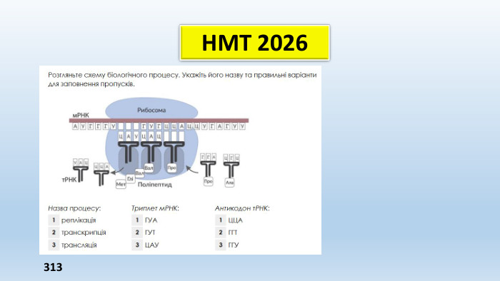 НМТ 2026313 