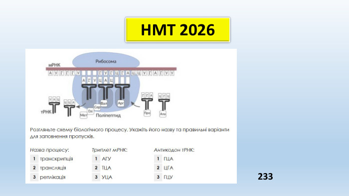 НМТ 2026233 