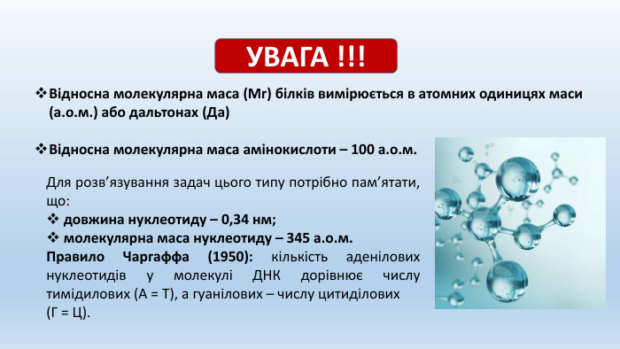 УВАГА !!!Відносна молекулярна маса (Mr) білків вимірюється в атомних одиницях маси (а.о.м.) або дальтонах (Да)Відносна молекулярна маса амінокислоти – 100 а.о.м. Для розв’язування задач цього типу потрібно пам’ятати, що: довжина нуклеотиду – 0,34 нм; молекулярна маса нуклеотиду – 345 а.о.м. Правило Чаргаффа (1950): кількість аденілових нуклеотидів у молекулі ДНК дорівнює числу тимідилових (А = Т), а гуанілових – числу цитиділових (Г = Ц).