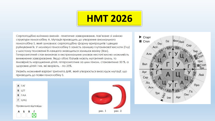 НМТ 2026