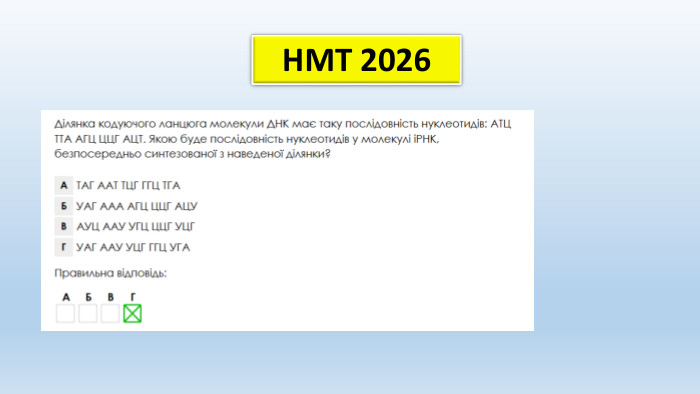 НМТ 2026