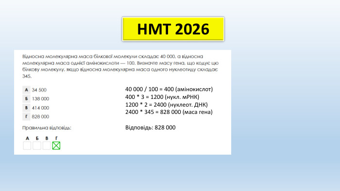 НМТ 202640 000 / 100 = 400 (амінокислот)400 * 3 = 1200 (нукл. м. РНК)1200 * 2 = 2400 (нуклеот. ДНК)2400 * 345 = 828 000 (маса гена)Відповідь: 828 000