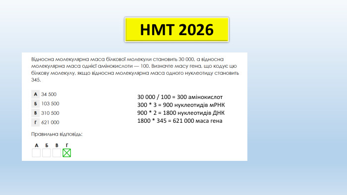 НМТ 202630 000 / 100 = 300 амінокислот300 * 3 = 900 нуклеотидів м. РНК900 * 2 = 1800 нуклеотидів ДНК1800 * 345 = 621 000 маса гена
