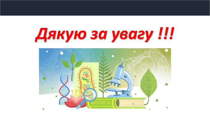 Дякую за увагу !!!