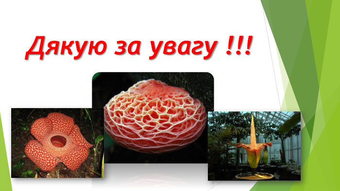 Дякую за увагу !!!