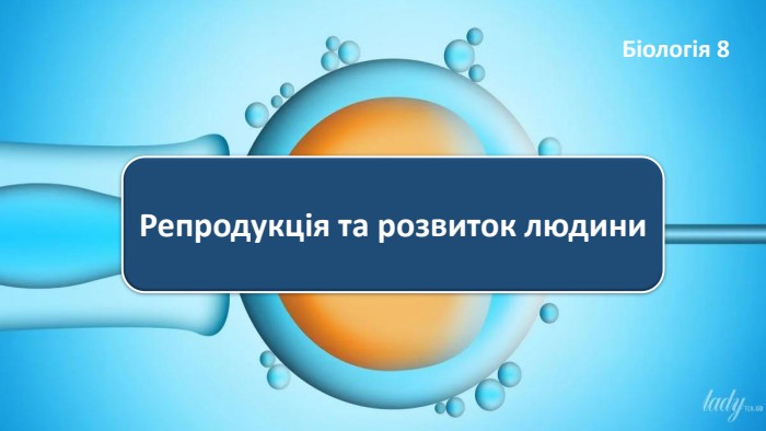 Репродукція та розвиток людини. Біологія 8