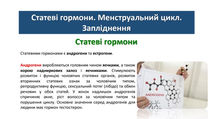 Статеві гормони. Менструальний цикл. Запліднення. Статеві гормони. Статевими гормонами є андрогени та естрогени. Андрогени виробляються головним чином яєчками, а також корою надниркових залоз і яєчниками. Стимулюють розвиток і функцію чоловічих статевих органів, розвиток вторинних статевих ознак за чоловічим типом, репродуктивну функцію, сексуальний потяг (лібідо) та обмін речовин у обох статей. У жінок надлишок андрогенів спричиняє акне, ріст волосся за чоловічим типом та порушення циклу. Основне значення серед андрогенів для людини має гормон тестостерон.