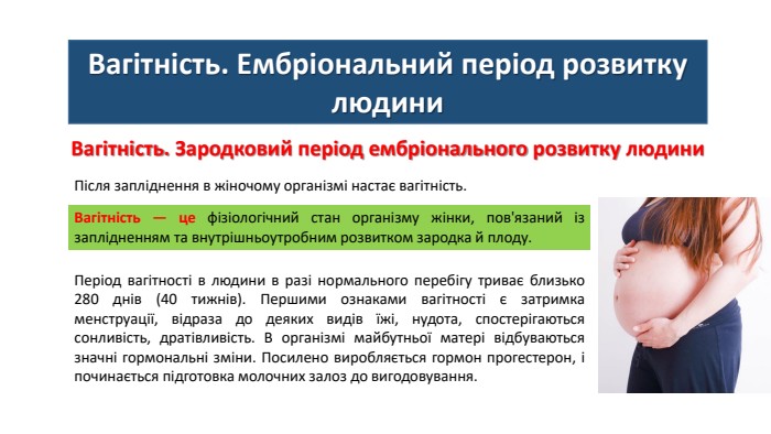 Вагітність. Ембріональний період розвитку людини. Вагітність. Зародковий період ембріонального розвитку людини. Після запліднення в жіночому організмі настає вагітність. Вагітність — це фізіологічний стан організму жінки, пов'язаний із заплідненням та внутрішньоутробним розвитком зародка й плоду. Період вагітності в людини в разі нормального перебігу триває близько 280 днів (40 тижнів). Першими ознаками вагітності є затримка менструації, відраза до деяких видів їжі, нудота, спостерігаються сонливість, дратівливість. В організмі майбутньої матері відбуваються значні гормональні зміни. Посилено виробляється гормон прогестерон, і починається підготовка молочних залоз до вигодовування.