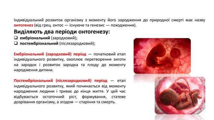 Індивідуальний розвиток організму з моменту його зародження до природної смерті має назву онтогенез (від грец. онтос — існуюче та генезис — походження). Виділяють два періоди онтогенезу: ембріональний (зародковий);постембріональний (післязародковий); Ембріональний (зародковий) період — початковий етап індивідуального розвитку, охоплює перетворення зиготи на зародок і розвиток зародка та плоду до моменту народження дитини. Постембріональний (післязародковий) період — етап індивідуального розвитку, який починається від моменту народження людини і триває до кінця життя. У цей час відбувається остаточний ріст, формування, статеве дозрівання організму, а згодом — старіння та смерть.