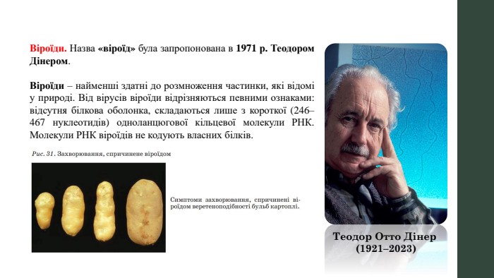 Віроїди. Назва «віроїд» була запропонована в 1971 р. Теодором Дінером. Віроїди – найменші здатні до розмноження частинки, які відомі у природі. Від вірусів віроїди відрізняються певними ознаками: відсутня білкова оболонка, складаються лише з короткої (246–467 нуклеотидів) одноланцюгової кільцевої молекули РНК. Молекули РНК віроїдів не кодують власних білків. Теодор Отто Дінер (1921–2023)