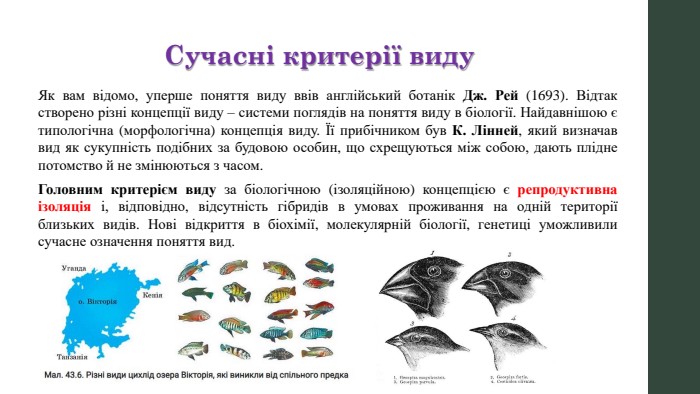 Сучасні критерії виду. Як вам відомо, уперше поняття виду ввів англійський ботанік Дж. Рей (1693). Відтак створено різні концепції виду – системи поглядів на поняття виду в біології. Найдавнішою є типологічна (морфологічна) концепція виду. Її прибічником був К. Лінней, який визначав вид як сукупність подібних за будовою особин, що схрещуються між собою, дають плідне потомство й не змінюються з часом. Головним критерієм виду за біологічною (ізоляційною) концепцією є репродуктивна ізоляція і, відповідно, відсутність гібридів в умовах проживання на одній території близьких видів. Нові відкриття в біохімії, молекулярній біології, генетиці уможливили сучасне означення поняття вид.