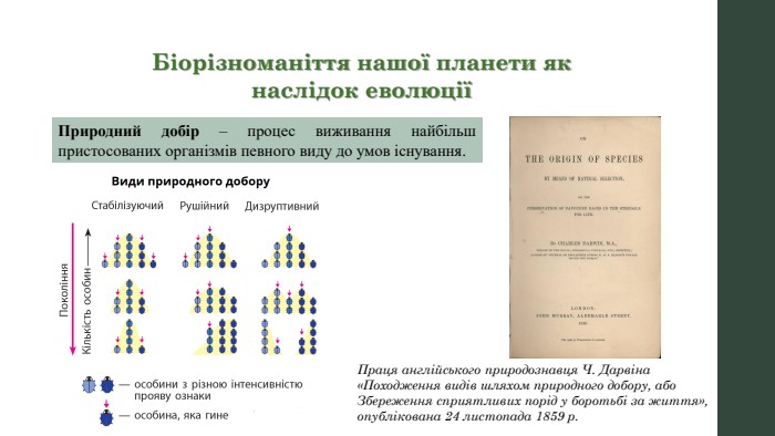 Біорізноманіття нашої планети якнаслідок еволюціїПриродний добір – процес виживання найбільш пристосованих організмів певного виду до умов існування. Праця англійського природознавця Ч. Дарвіна «Походження видів шляхом природного добору, або Збереження сприятливих порід у боротьбі за життя», опублікована 24 листопада 1859 р.
