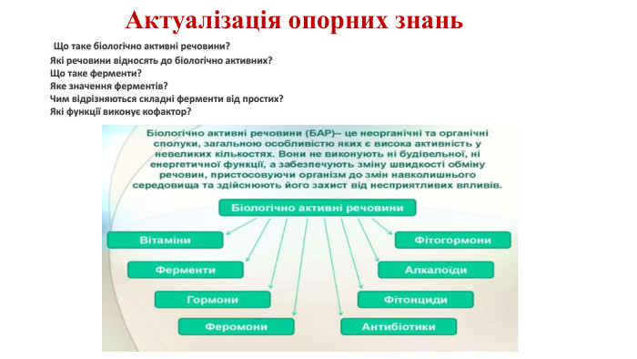 Актуалізація опорних знань Що таке біологічно активні речовини?Які речовини відносять до біологічно активних?Що таке ферменти?Яке значення ферментів?Чим відрізняються складні ферменти від простих?Які функції виконує кофактор?