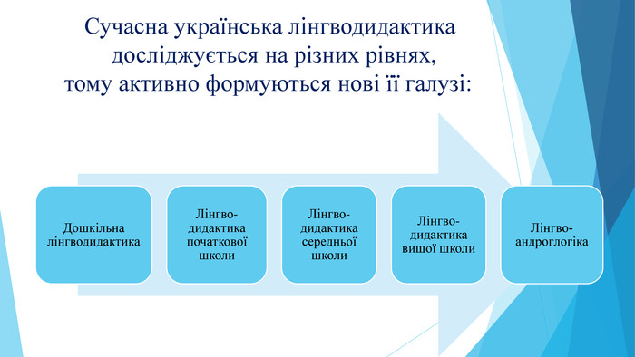  Сучасна українська лінгводидактика досліджується на різних рівнях, тому активно формуються нові її галузі: