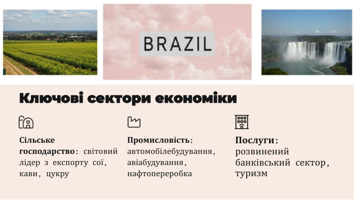 Ключові сектори економіки. Сільське господарство: світовий лідер з експорту сої, кави, цукру. Промисловість: автомобілебудування, авіабудування, нафтопереробка. Послуги: розвинений банківський сектор, туризм