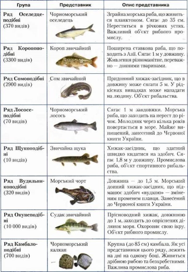 Картинки по запросу різноманітність риб таблиця