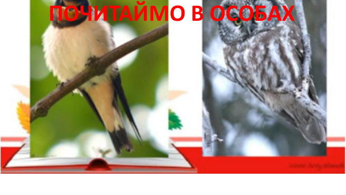 ПОЧИТАЙМО В ОСОБАХ