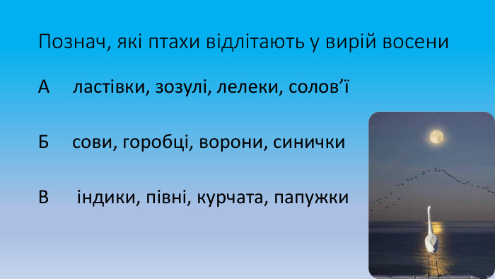Познач, які птахи відлітають у вирій восени. А ластівки, зозулі, лелеки, солов’їБ сови, горобці, ворони, синички. В індики, півні, курчата, папужки 