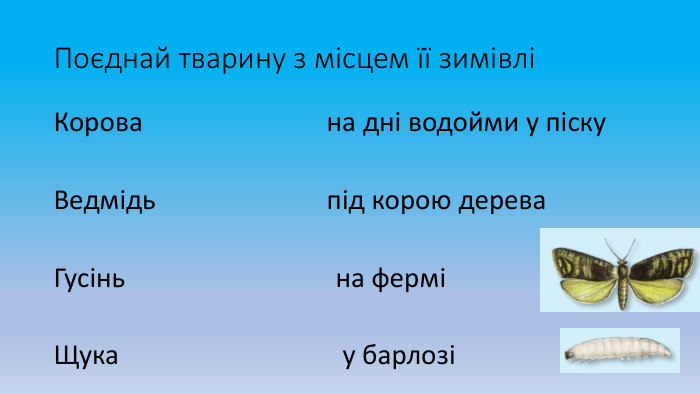 Поєднай тварину з місцем її зимівліКорова на дні водойми у піску. Ведмідь під корою дерева. Гусінь на ферміЩука у барлозі