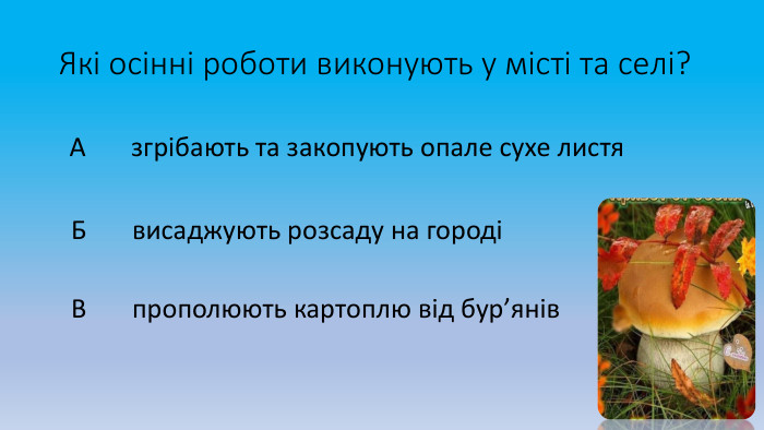 Які осінні роботи виконують у місті та селі? А згрібають та закопують опале сухе листя Б висаджують розсаду на городі В прополюють картоплю від бур’янів 