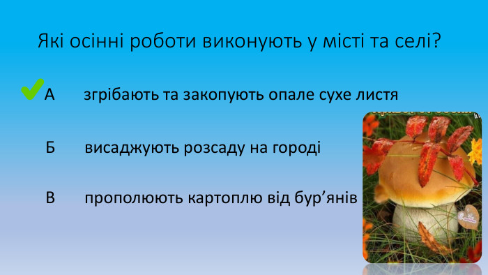 Які осінні роботи виконують у місті та селі? А згрібають та закопують опале сухе листя Б висаджують розсаду на городі В прополюють картоплю від бур’янів 