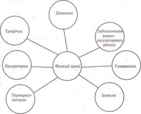http://subject.com.ua/lesson/biology/9klas/9klas.files/image029.jpg