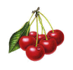 cherries1