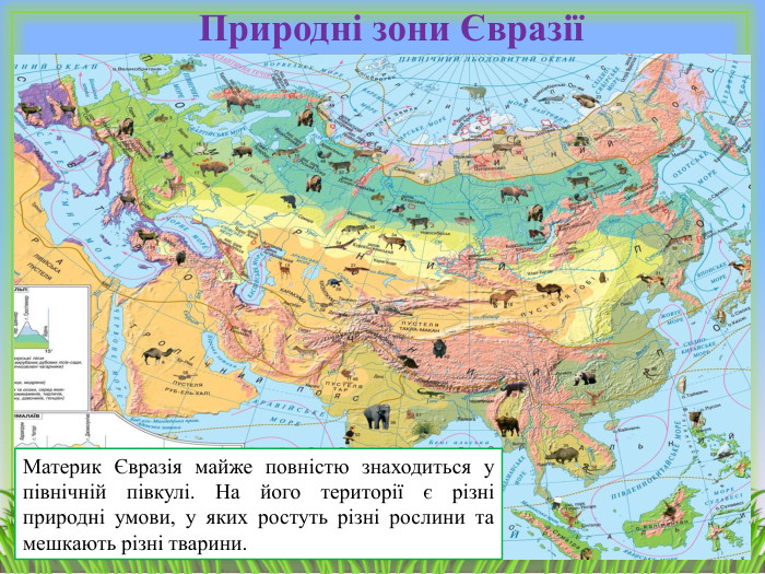 Природні зони ЄвразіїМатерик Євразія майже повністю знаходиться у північній півкулі. На його території є різні природні умови, у яких ростуть різні рослини та мешкають різні тварини. 