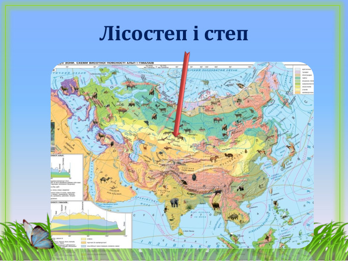 Лісостеп і степ