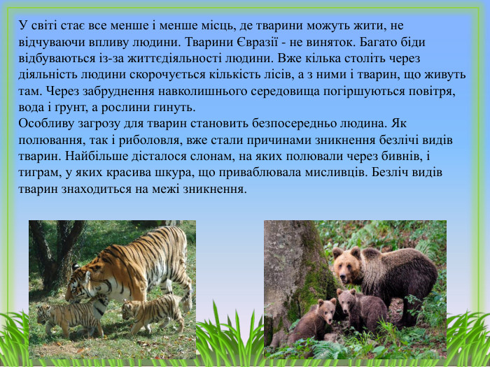 У світі стає все менше і менше місць, де тварини можуть жити, не відчуваючи впливу людини. Тварини Євразії - не виняток. Багато біди відбуваються із-за життєдіяльності людини. Вже кілька століть через діяльність людини скорочується кількість лісів, а з ними і тварин, що живуть там. Через забруднення навколишнього середовища погіршуються повітря, вода і ґрунт, а рослини гинуть. Особливу загрозу для тварин становить безпосередньо людина. Як полювання, так і риболовля, вже стали причинами зникнення безлічі видів тварин. Найбільше дісталося слонам, на яких полювали через бивнів, і тиграм, у яких красива шкура, що приваблювала мисливців. Безліч видів тварин знаходиться на межі зникнення.