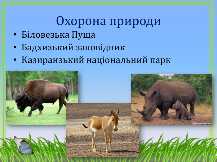 Біловезька Пуща. Бадхизький заповідник. Казиранзький національний парк. Охорона природи