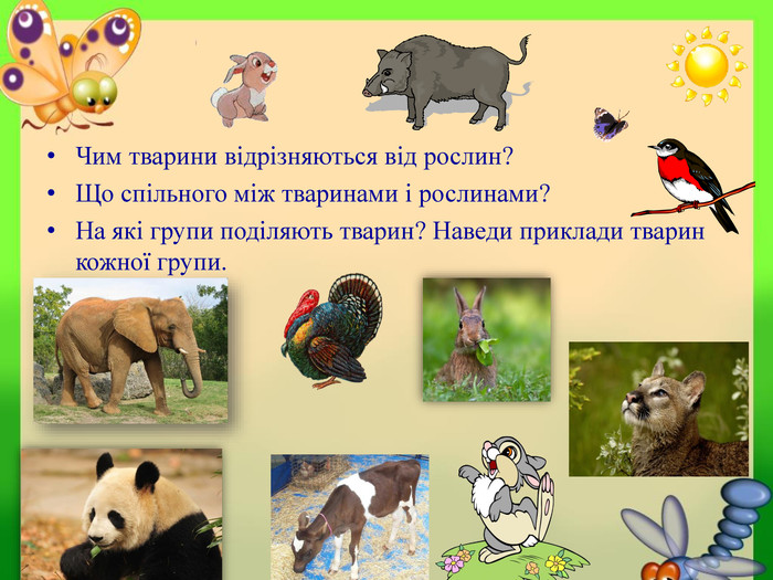 Презентація з природознавства для 5 класу на тему 