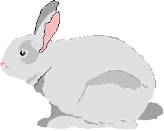 http://comptine.free.fr/images/comptines/ptit_lapin.gif