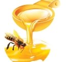 Скачать Картинки мёда и пчёл 773x800 px