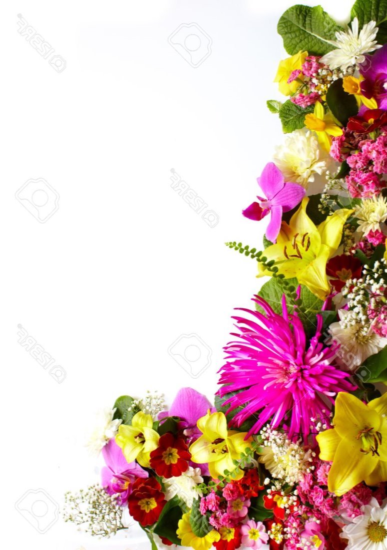 C:\Users\User\Desktop\Нова папка\19139998-floral-greeting-card-with-beautiful-flowers.jpg