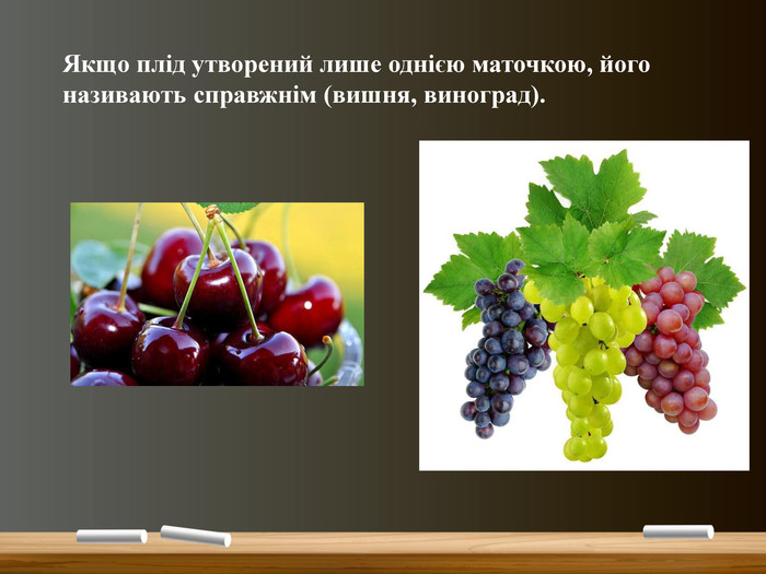 Популярні сорти винограду та їхні характеристики