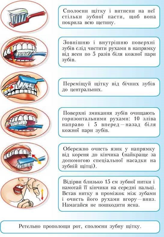 https://subject.com.ua/textbook/health/6klas/6klas.files/image029.jpg