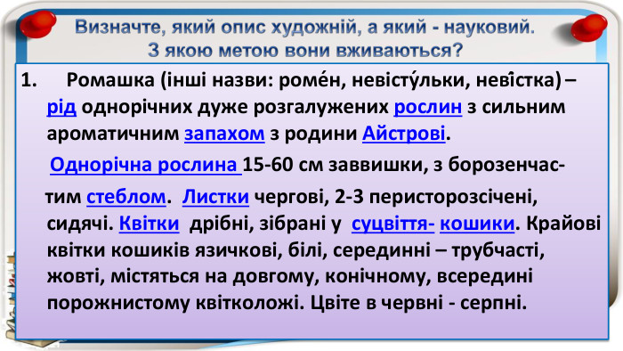 Визначте, який опис художній, а який - науковий. З якою метою вони вживаються? Ромашка (інші назви: роме́н, невісту́льки, неві́стка) – рід однорічних дуже розгалужених рослин з сильним ароматичним запахом з родини Айстрові. Однорічна рослина 15-60 см заввишки, з борозенчас- тим стеблом.  Листки чергові, 2-3 перисторозсічені, сидячі. Квітки  дрібні, зібрані у суцвіття- кошики. Крайові квітки кошиків язичкові, білі, серединні – трубчасті, жовті, містяться на довгому, конічному, всередині порожнистому квітколожі. Цвіте в червні - серпні.