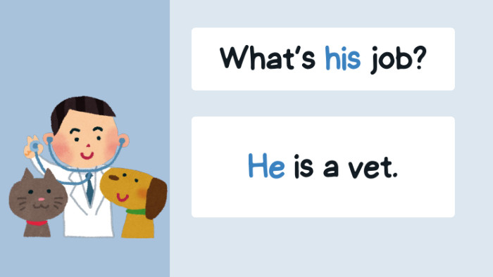 He is a vet. What’s his job?