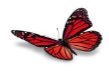 Картинки по запросу метелик червоний