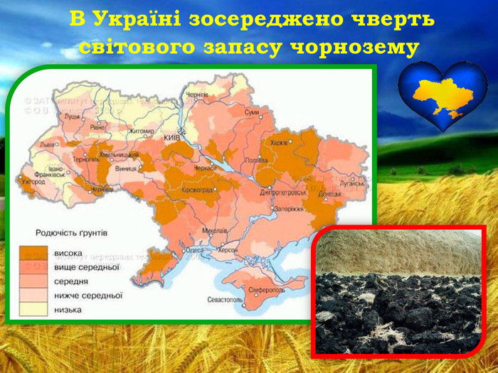  В Україні зосереджено чверть світового запасу чорнозему 