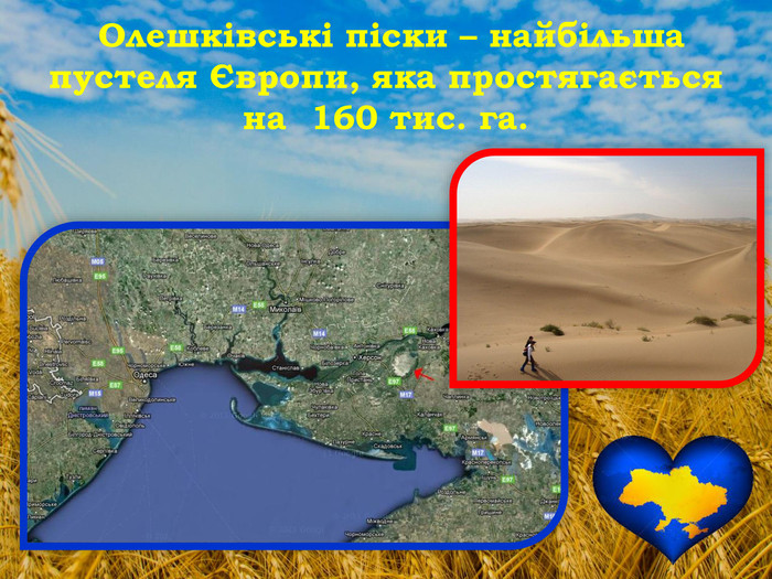 Олешківські піски – найбільша пустеля Європи, яка простягається на 160 тис. га. 