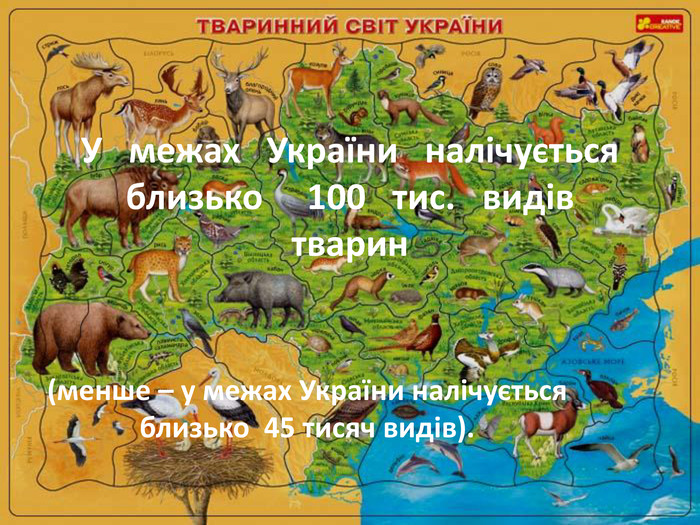 У межах України налічується близько 100 тис. видів тварин (менше – у межах України налічується близько 45 тисяч видів).