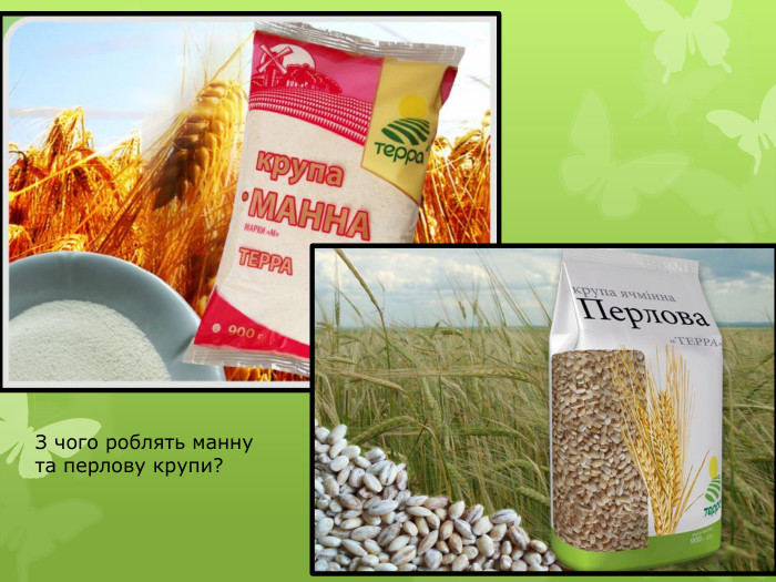 З чого роблять манну та перлову крупи?