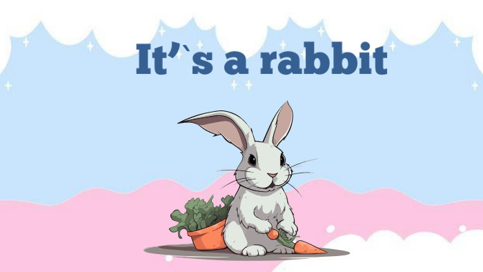 It’`s a rabbit