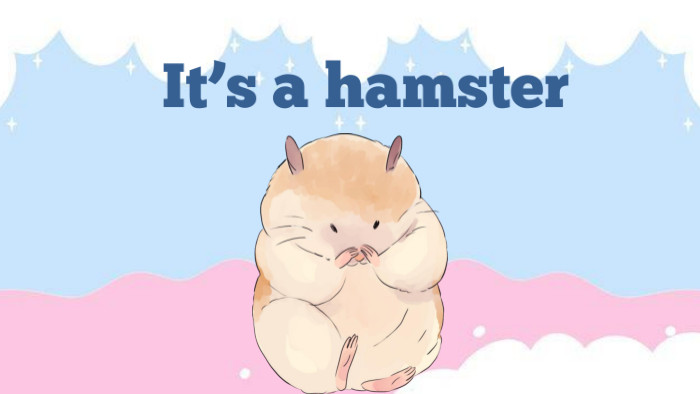 It’s a hamster