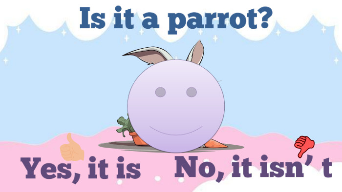 Is it a parrot?No, it isn’`t. Yes, it is